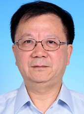 Prof. Weijia WEN